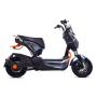 CAPRIOLO Bicikl E-bike E2 RX20 sivi (292027-S) - slika 1