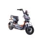 CAPRIOLO E-BIKE E2 RX20 Sivi 292027-S-K - slika 1