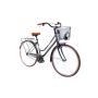 CAPRIOLO AMSTERDAM LADY 28''HT sivo 18'' 925290-18 - slika 1