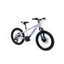 CAPRIOLO MTB LC 200 20'' 6AL sivo 925516-11 - slika 2