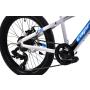 CAPRIOLO MTB LC 200 20'' 6AL sivo 925516-11 - slika 3