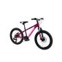 CAPRIOLO MTB LC 200 20'' 6AL ljubičasta 925518-11 - slika 2