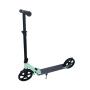 CAPRIOLO TROTINET-ROMOBIL 004D INDY PLV 290112-P - slika 1