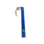 CAPRIOLO E-BIKE AKUMLATOR BELT DRIVE 292354 - slika 1