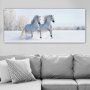 WALLXPERT Dekorativna slika YTY203158396_50120 - slika 1