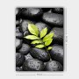 WALLXPERT Dekorativna slika 66505477_70100 - slika 3