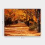 WALLXPERT Dekorativna slika 300990296_70100 - slika 3