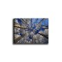 WALLXPERT Dekorativna slika Kanvas Tablo (70 x 100) 7 - slika 2