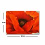 WALLXPERT Dekorativna slika 70100FAMOUSART 047 - slika 4