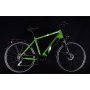 CAPRIOLO ECO 700.3.2 E-BIKE 28'' zeleno 923814-48 - slika 3