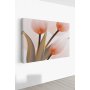 WALLXPERT Dekorativna slika Ersyfdc12 70 x 100 - slika 2