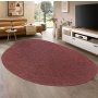 Conceptum Hypnose Tepih (120 x 180) Tema 9039 - slika 2