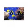 FELLOWES Podloga za miša Earth Sea 5909301 - slika 1