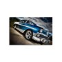 WALLXPERT Dekorativna slika 5070C 87 - slika 4