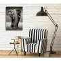 WALLXPERT Dekorativna slika DC064 - slika 2