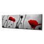 WALLXPERT Dekorativna slika PC048 - slika 3