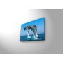 WALLXPERT Dekorativna slika 3040C 28 - slika 2