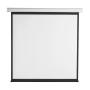 S BOX PSA 112 - 2 Platno za projektor - slika 1
