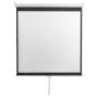 S BOX PSM 118 - 2, Platno za projektor - slika 1