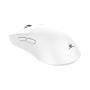 WHITE SHARK WS WGM 5022 LUCAN, Wireless Mouse White - slika 4