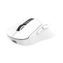 WHITE SHARK WS WGM 5023 GAWAIN, Wireless Mouse White - slika 4