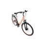 CAPRIOLO TOUR-ELEGANCE L 28''/14AL breskva - dinamo glava 926652-18 - slika 3