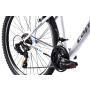CAPRIOLO MTB OXYGEN 26''/21V sivo-plavo 925426-16 - slika 5