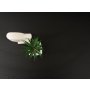 HANAH HOME Sto za dnevnu sobu Oscar 9554 - slika 5