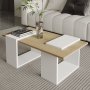 HANAH HOME Sto za dnevnu sobu Matris White Sapphire Oak - slika 1
