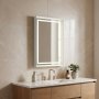 HANAH HOME Ogledalo Craft 60 x 90 v2 507 - slika 1
