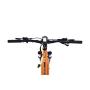 CAPRIOLO E-BIKE VOLTA 9.4 29'' bronza 926800-18 - slika 4