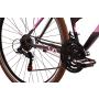 CAPRIOLO TREKKING SUNRISE LADY 28''/18HT grafit 17'' 925591-17-I - slika 3