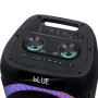 MS MOBILE Zvučnik bluetooth NDR-1310 (DSP) 60W 2*10 inča sa dva mikrofona crni - slika 2