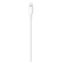 APPLE USB-C to Lightning Cable (2 m) - slika 3