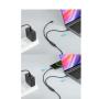 MANHATTAN Dual USB-C Charging Cable 100 W, 2 m 355810 - slika 3