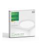 GREEN TECH TECH LED PLAFONJERA 24W 3000K-3500K-4000K-5000K-6500K FI40cm 5CCT BELA - slika 5