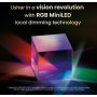 Hisense 116UXQ RGB MiniLED 4K Smart TV - slika 5