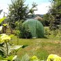 CHOMIK Baštenski plastenik 8×3 m zeleni (TUN5620) - slika 2