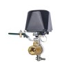 GEMBIRD ZIGBEE-SMART-CONTROLLER-FM400B Gembird Zigbee inteligentni kontroler ventila za vodu - slika 1
