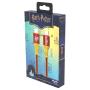MOYE Harry Potter USB-C na USB-C 1m Kabl za telefon - slika 1