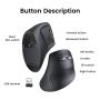 UGREEN (25444) Ergonomski Vertikalni Bežični Miš Bluetooth + 2.4GHz 4000 DPI - slika 5