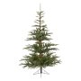 Everlands Nobilis Fir 300cm novogodišnja jelka (68.9204) - slika 1