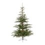 Everlands Nobilis Fir 180cm novogodišnja jelka (68.9201) - slika 1
