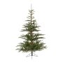 Everlands Nobilis Fir 150cm novogodišnja jelka (68.9200) - slika 1