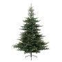 Everlands Grandis Fir 240cm novogodišnja jelka (68.1453) - slika 1