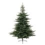Everlands Grandis Fir 210cm novogodišnja jelka (68.1452) - slika 1