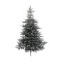 Everlands Grandis Fir Snowy 150cm novogodišnja jelka (68.9760) - slika 1