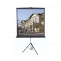 VEGA Platno Tripod S 240 platno za projektor - slika 1
