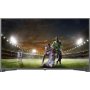 VIVAX TV-49S55DT2S2 LED FullHD - slika 1
