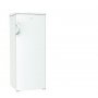 GORENJE R 4141 ANW - slika 2
